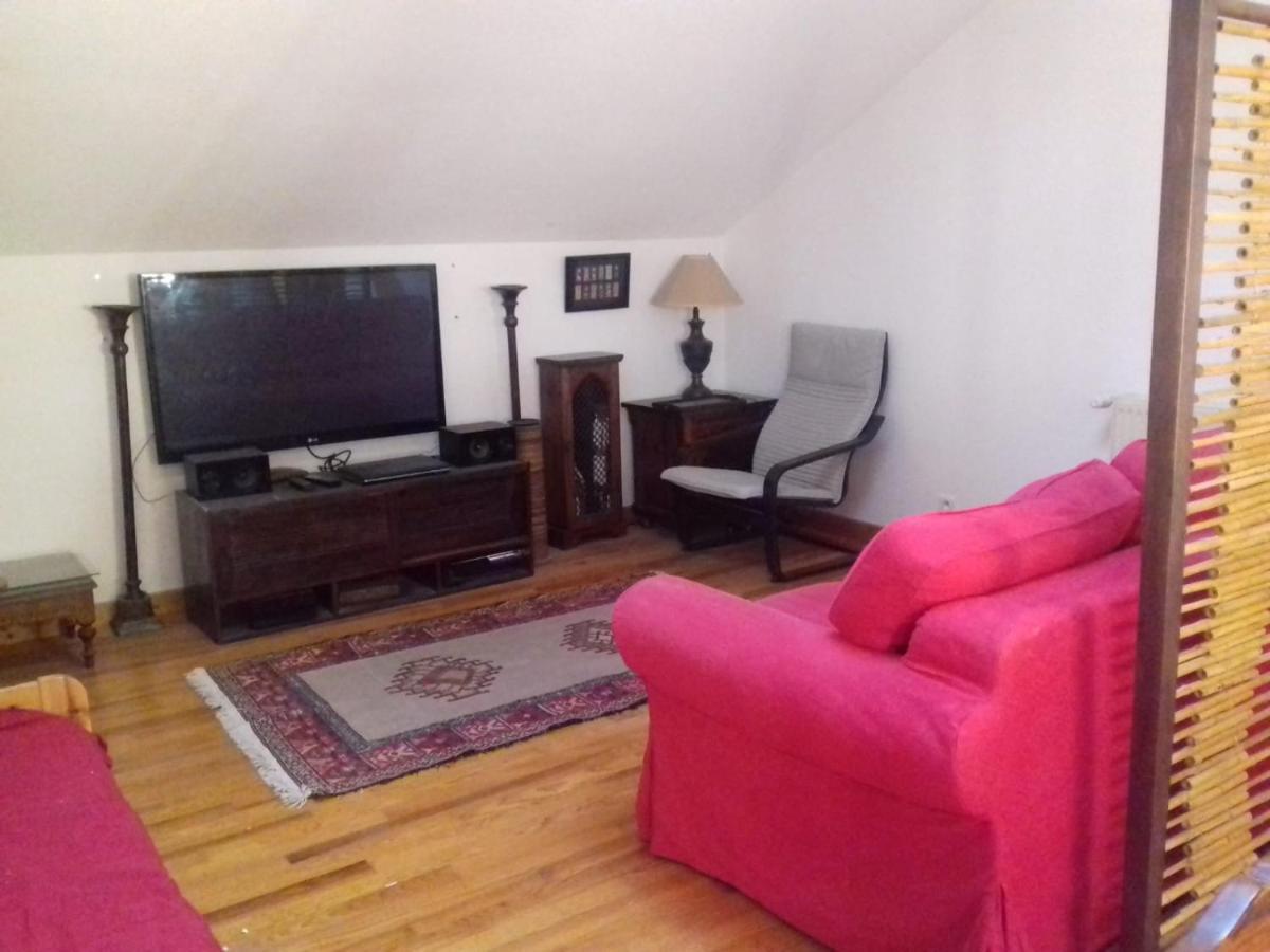 Appartement En Loft 50M2 Dans Maison Avec Chambre En Mezzanine Et Canapes Lits Dans Salon Saint-Pierre-de-Chartreuse Luaran gambar